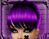MK*Chandra*Purple