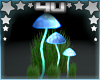 4u Illuminated Mushrooms