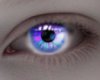 Bun! Eyes Purple m/f