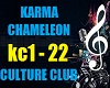 ER- KARMA CHAMELEON