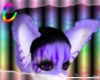 C; PurpleTabby Ears M/F