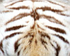 White Tiger Floor Pillow