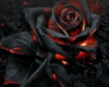 dark rose sitting box