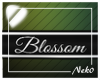 *NK* Blossom (Sign)