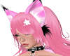 UP| Kawaii Collar