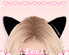 Kids Black Cat Ears