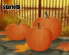Fall Pumpkin Set