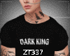 Zt-T/s Dark King