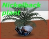 Nickelback plant