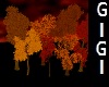 Fall  trees