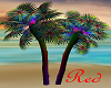 "RD" Tropical Fan Palm