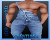 Dark Blue Overall Denim