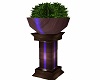 Vase planter