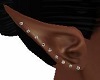 Elf Ears Piercings