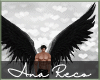 A∞ Fallen Angel Wings