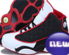 AIR JORDAN 13