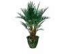 Lighted Palm Plant