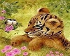 Baby Tiger  Backdrop