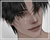 ♰ Noctis