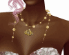 Collars CDI