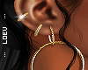 ♥ Gold Hoops!