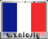 wzn France Flag-M/F