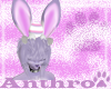 Easter Bunny Ears v2