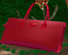 FG~ Envy Bag Red
