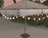 Modern  Beach umbrella