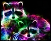 Furry Or Rave Raccoons