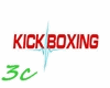 [3c] Kick Boxing Arena