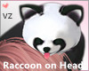 Raccoon on Head M