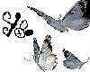 White Butterfly - Kyobi