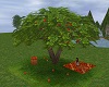 Apple Tree Picnic Anim