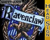 I'm a Ravenclaw!