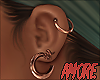 $ RoseGold Sexy Earrings