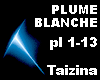 SISCO Plume blanche