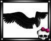 **Fallen Wings**