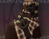 ☼ Walking Plaid