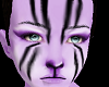 Purple Tiger Fur M