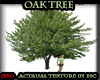(PM)Oak Tree derivable