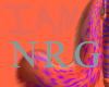 NrGie Tail V3