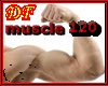 muscle 120