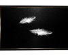 Angel Feathers Dance Flo