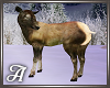 Cow Elk - Standing