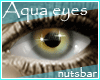 n: Aqua agateⅡ