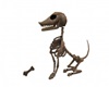 Skeleton Dog Animated