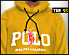 Polo Hoodie