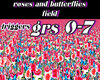 roses n butterflys field