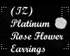 (IZ) Platinum Rose